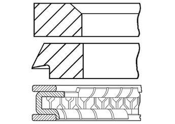 Segman (84.00MM-STD)  GOETZE 06-207600-30  06-207600-30
