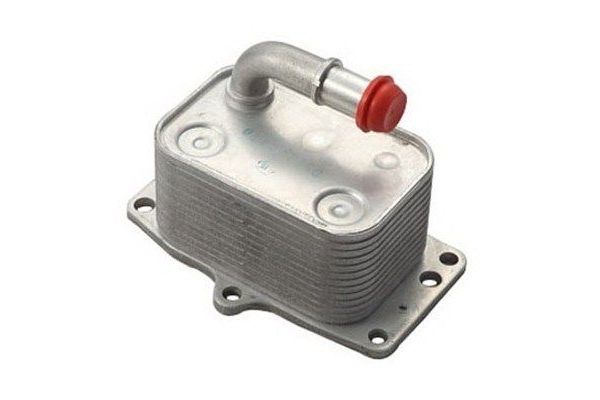 Motor Yağ Soğutucu  Citroen C5 5 Kapı (10.2004->)  MAGNETI MARELLI 359001602560
