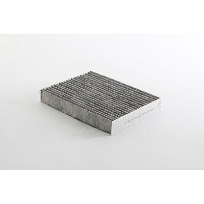 Polen Filtresi  Renault Zoe (06.2012->)  BSG 75-145-019