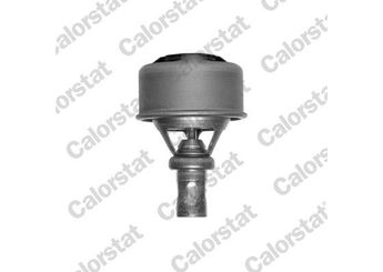 Termostat 75 °C  CALORSTAT TH4495.75  7700613673 72MU8575A 7700862727 7701348375