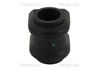 Viraj Demir Lastiği Arka RIW TO12015K  4881842010 48818-42010