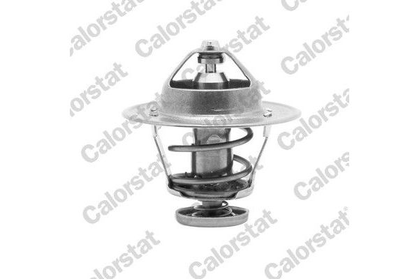 Termostat  CALORSTAT TH6252.89J