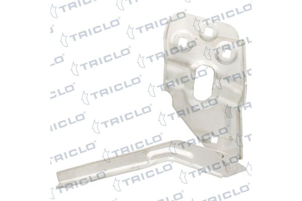Motor Kaput Menteşesi Sol Volkswagen Touareg (7P6)(08.2014->2018)  PRO-A 293034