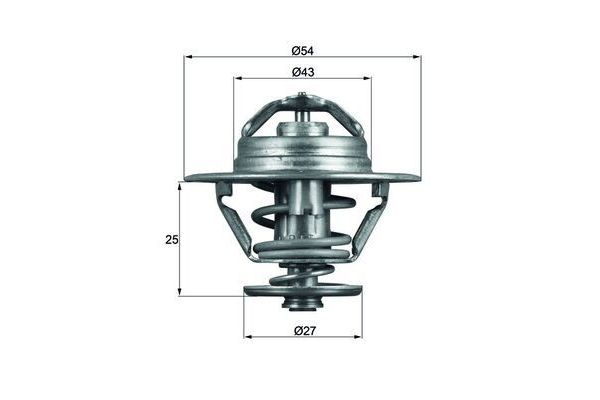 Termostat 79 °C  Renault Master Maxi P.Van (06.2002->)  MAHLE TX 93 79D