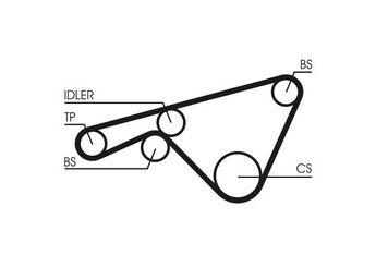Triger Kayışı  CONTINENTAL CT925  94410221902 94410221904