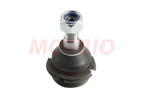 Rotil Alt Sağ veya Sol MOTRIO 8550501409