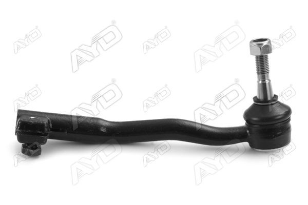 Rot Başı Sol AYD 00763