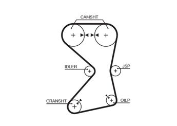Triger Kayışı  GATES 5258XS  2431233010 2431233020 2431233030 PMTB262 24312-33010 24312-33020 24312-33030 2431233040 24312-33040 2431233050 24312-33050 2431233060 24312-33060 MD110041 MD133116 MD145714 MD182201 MD197139 MD199418