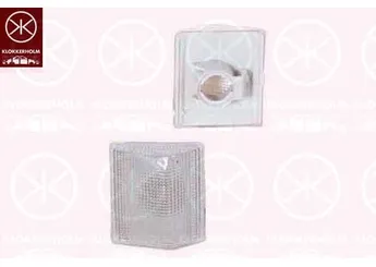 Çamurluk Sinyali Sağ veya Sol BSG 75-810-021  8200343322 82 00 343 322