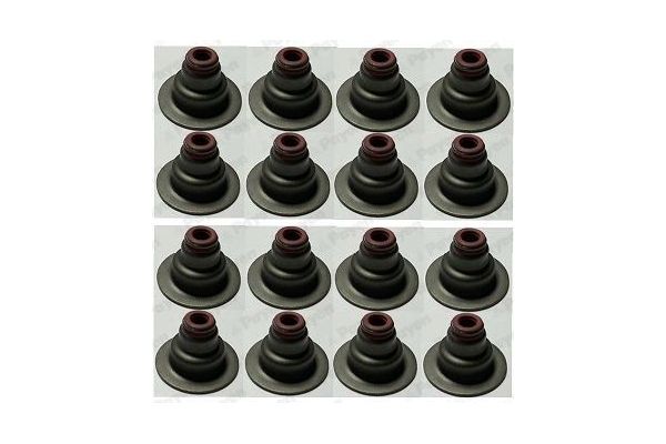 Supap Lastiği  PAYEN HR5081