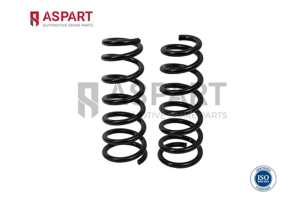 Helezon Yayı Arka ASPART 1CSP1100