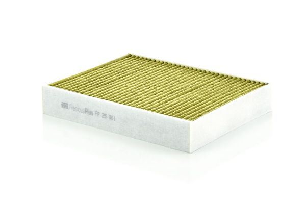 Polen Filtresi  BMW M4 Serisi Coupe (F82)(2014->)  MANN FP 25 001