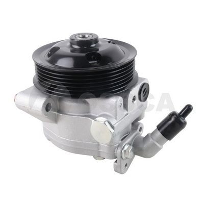 Direksiyon Pompası  FRENDI 66581