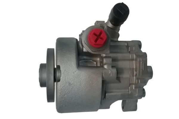 Direksiyon Pompası  SPIDAN GKNY10068