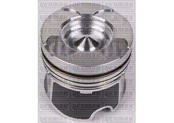 Piston (89.00MM-STD)  NÜRAL 87-71978-STD  8771978 4418621 44 18 621 4418622 44 18 622 93194559 93194564 7701478481 7701478482