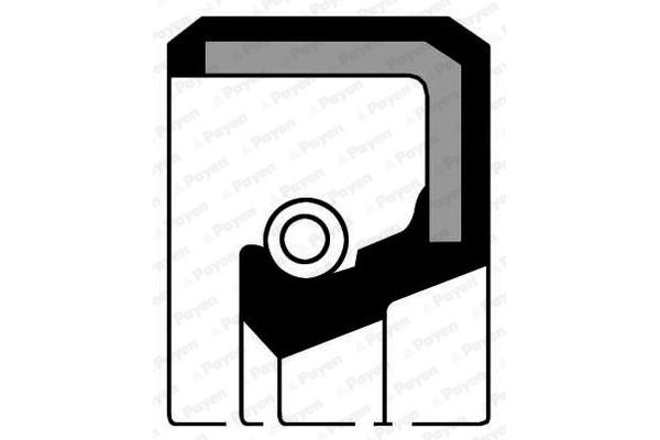 Krank Keçesi Ön PAYEN NF387