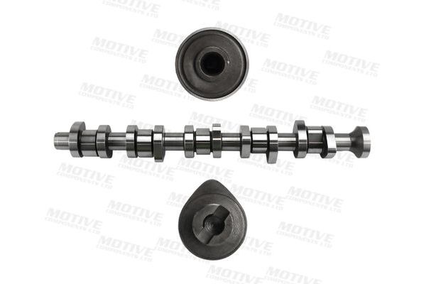 Eksantrik Mili  MOTIVE T067A