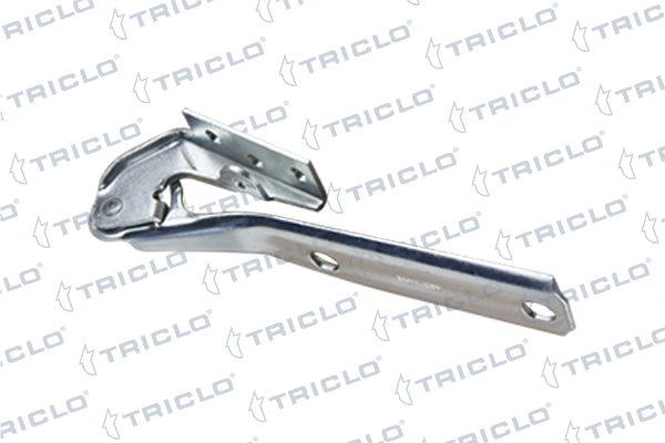 Motor Kaput Menteşesi Sağ MAHER 05418