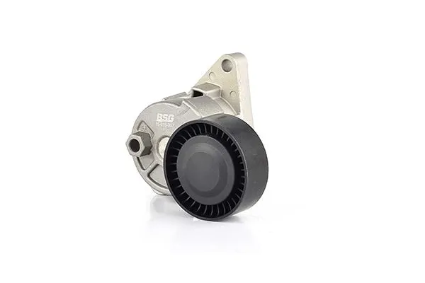 Vantilatör Kayış Gergi Rulmanı  BMW Z4 M Serisi Roadster (E85)(2006->)  BSG 15-615-007