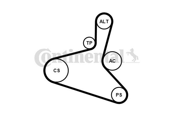 Vantilatör Kayış Seti  Seat Alhambra (7V8)(01.1996->)  CONTINENTAL 6DPK1195K2