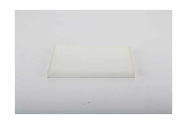 Polen Filtresi  Hyundai Grand Santa Fe (NC)(2013->)  BSG 40-145-023