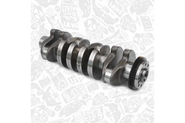 Krank  GENMOT 1536-1