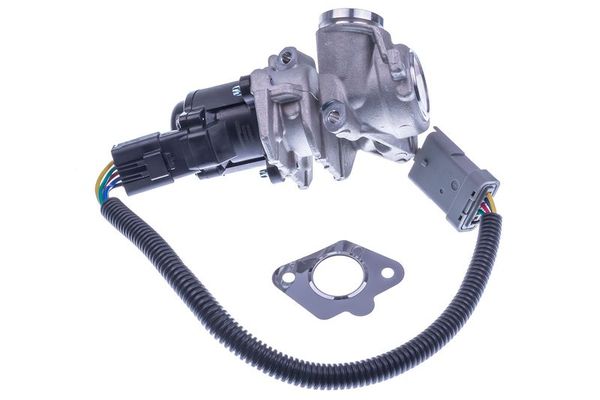 Egr Valfi  Peugeot 207 (05.2006->)  WAHLER 710929D