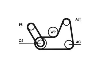 Vantilatör Kayış Seti  CONTINENTAL 6PK1019 ELAST T1  8V2Q6D314AB 1143407 1253583 1365336 1829195 2S6E6D314AB 2S6E-6D314-AB 2S6E6C301CA 2S6E-6C301-CA 2S6E6C301CB 2S6E-6C301-CB 2S6E6C301DB 2S6E-6C301-DB 2S6E6D314AC 2S6E-6D314-AC 2S6E6C301DA 2S6E-6C301-DA 2S6E6D314AD 2S6E-6D314-AD C20115909B C20115909 C20115909A C20115SAX 1141317 1684973 1692106 1699566 1802893 8V2Q6C301AA AM5Q6C301FA AM5Q6D314BA EV2Q6D314AA