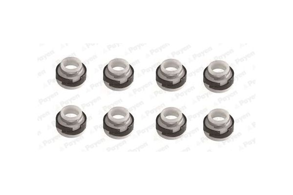 Supap Lastiği  PAYEN HR643