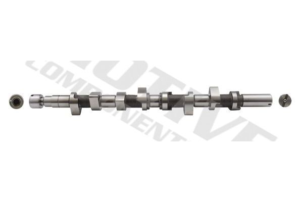 Eksantrik Mili  Renault Scenic RX4 (JA0)(06.2000->)  MOTIVE T1040