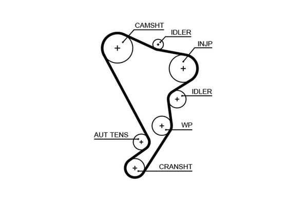 Triger Kayışı  Volkswagen Crafter Minibüs (2E)(03.2006->2017)  GATES 5661XS