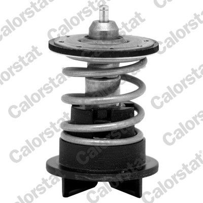 Termostat 89 °C  Porsche Cayenne (Typ 92A)(02.2010->)  CALORSTAT TH7272.89
