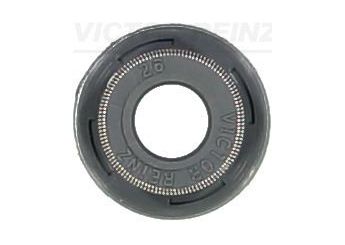 Supap Lastiği  REINZ 70-54169-00  705416900 70-54169-00 1608166380 16 081 663 80 6000607322 MD184303