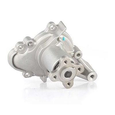 Devirdaim Su Pompası  BSG 40-500-009