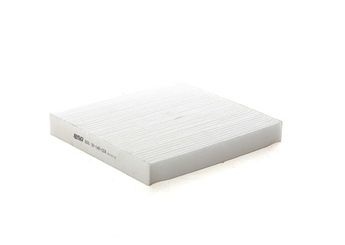 Polen Filtresi  BSG 30-145-024  1718237 1 718 237 2286591 2 286 591 AB3919N619AA UCY061P11 UCY0-61-P11