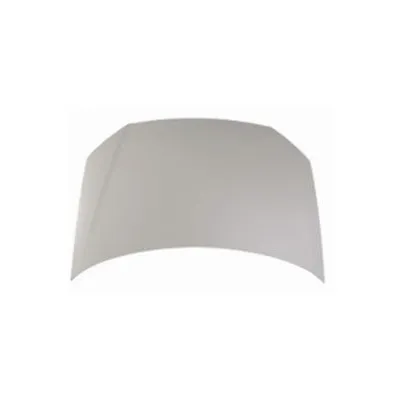 Motor Kaputu  Volkswagen Polo IV (9N3)(04.2005->2009)  VORTEX V3614533