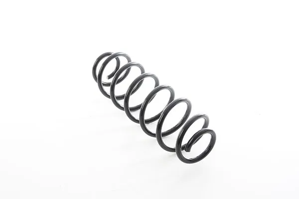 Helezon Yayı Arka BSG 90-305-006