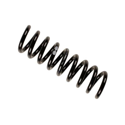 Helezon Yayı Arka ASPART 1CSP1022