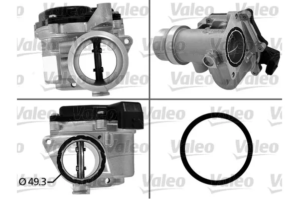 Gaz Kelebeği  VALEO 700450