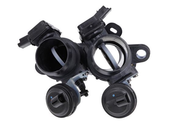 Gaz Kelebeği  VALEO 700462