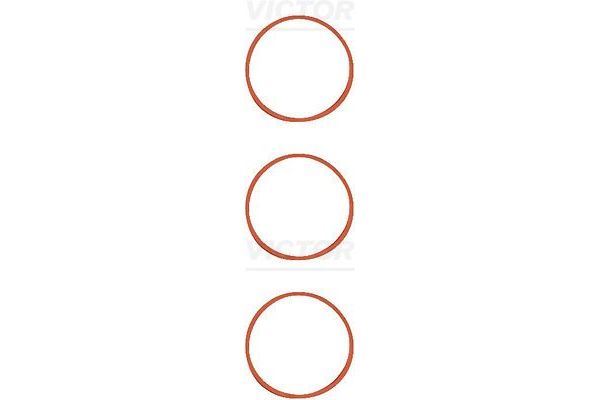 Takım Conta  REINZ 11-11551-01