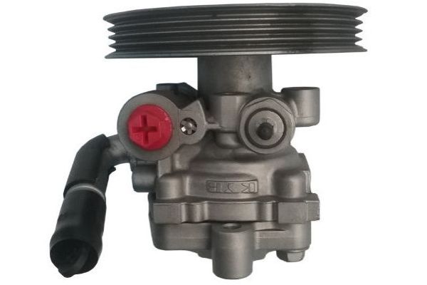 Direksiyon Pompası  SPIDAN GKNY10101