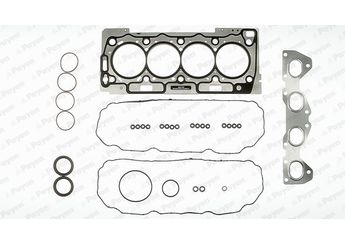 Takım Conta  PAYEN CD5180  