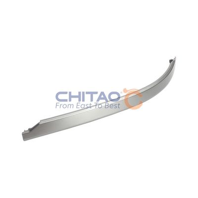 Tampon Çıtası Arka Sağ TW 3056-2611