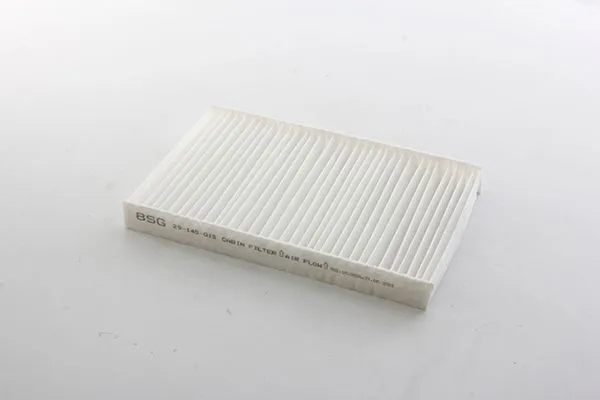 Polen Filtresi  Iveco Daily Kamyonet (2006->)  BSG 25-145-015