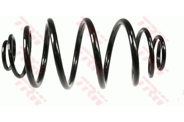 Helezon Yayı Arka STANDART YAY 124054R