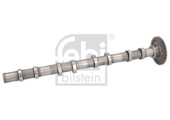 Eksantrik Mili  FEBI BILSTEIN 184903  11318575438 11318506077 11 31 8 506 077 11 31 8 575 438 11 31 8 50 60 77 11 31 8 57 54 38
