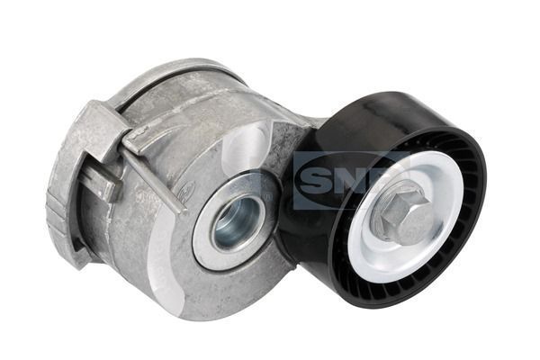 Vantilatör Kayış Gergi Rulmanı  Citroen DS5 (09.2011->)  SNR GA359.27