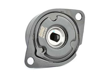 Vantilatör Kayış Gergi Rulmanı  BSG 90-615-024  28903315R 028903315R 28903315N 028 903 315 N 028 903 315 R 1039808 95VW10145DA 95VW-10145-DA