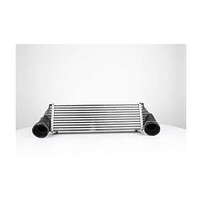 Turbo Radyatörü  BMW X6 Serisi (E71/E72)(07.2008->)  ASPART 6TRA1017